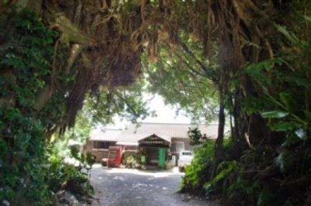 居酒屋民宿珊瑚礁
